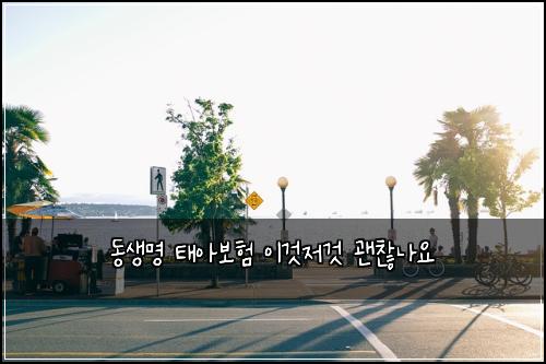 동생명 태아보험 이것저것  괜찮나요