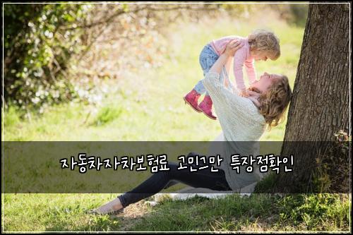 ์๋์ฐจ์์ฐจ๋ณดํ๋ฃ ๊ณ ๋ฏผ๊ทธ๋ง ํน์ฅ์ ํ์ธ