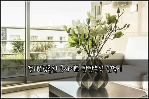 정기보험추천 굿사이트 탄탄분석 견적이