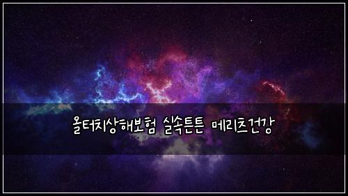 올터치상해보험 실속튼튼  메리츠건강