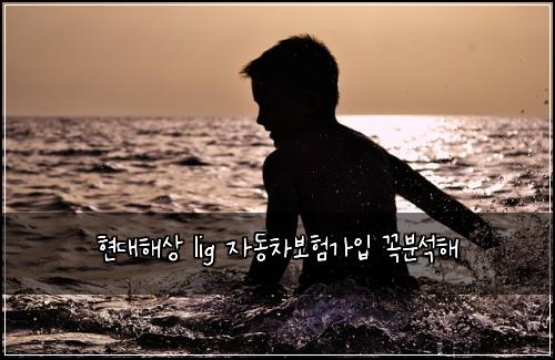 현대해상 lig 자동차보험가입 꼭분석해