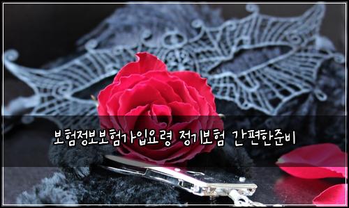 ๋ณดํ์ ๋ณด๋ณดํ๊ฐ์
์๋ น ์ ๊ธฐ๋ณดํ ๊ฐํธํ์ค๋น