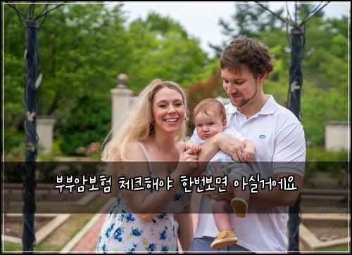๋ถ๋ถ์๋ณดํ ์ฒดํฌํด์ผ ํ๋ฒ๋ณด๋ฉด ์์ค๊ฑฐ์์