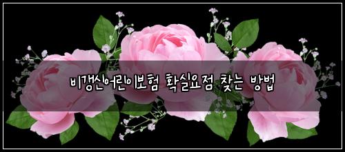 ๋น๊ฐฑ์ ์ด๋ฆฐ์ด๋ณดํ ํ์ค์์ ์ฐพ๋ ๋ฐฉ๋ฒ