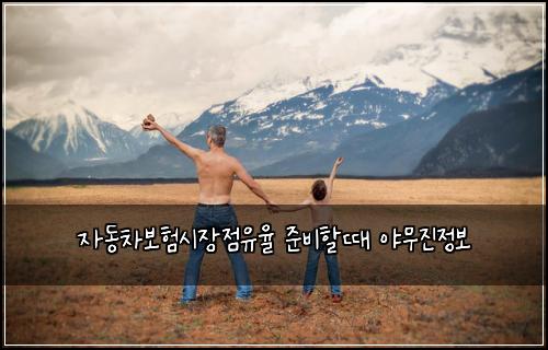 자동차보험시장점유율 준비할때 야무진정보