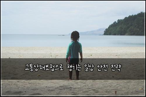 교통상해보험으로 챙기는 일상 안전 전략