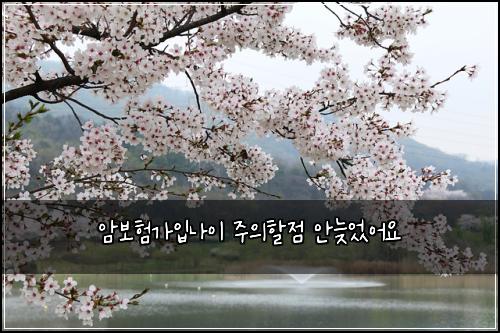 암보험가입나이 주의할점 안늦었어요