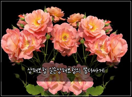 ์ํด๋ณดํ ์ค์์ํด๋ณดํ์ ์ซ๋์ธ๊ฒ