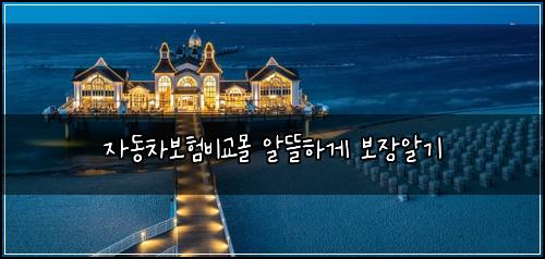 자동차보험비교몰 알뜰하게 보장알기