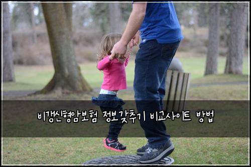 ๋น๊ฐฑ์ ํ์๋ณดํ ์ ๋ณด๊ฐ์ถ๊ธฐ ๋น๊ต์ฌ์ดํธ ๋ฐฉ๋ฒ