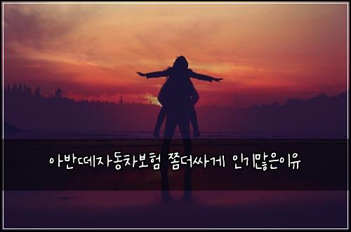 아반떼자동차보험 쫌더싸게  인기많은이유