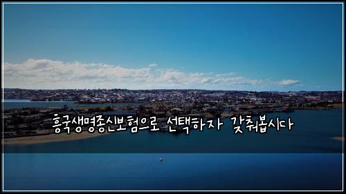 흥국생명종신보험으로 선택하자 갖춰봅시다