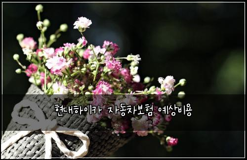 현대하이카 자동차보험 예상비용 