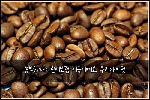 동부화재어린이보험 이득이예요  우리아이첫