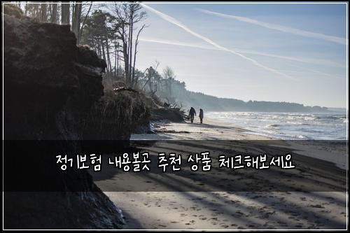 정기보험 내용볼곳  추천 상품 체크해보세요