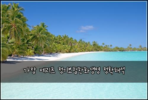 가장 메리츠 정기보험한화생명 정확해석