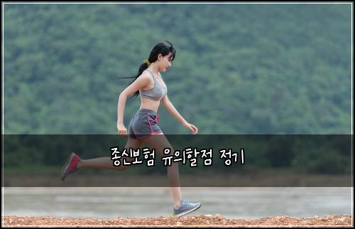 종신보험 유의할점  정기