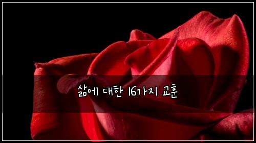 삶에 대한 16가지 교훈
