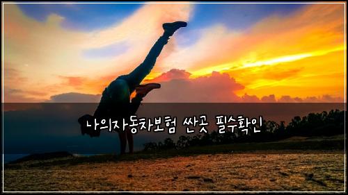 ๋์์๋์ฐจ๋ณดํ ์ผ๊ณณ ํ์ํ์ธ