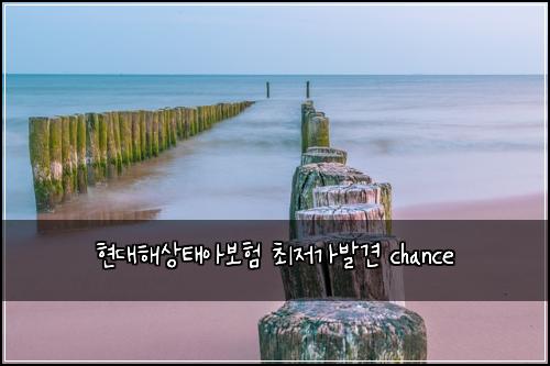 현대해상태아보험 최저가발견  chance