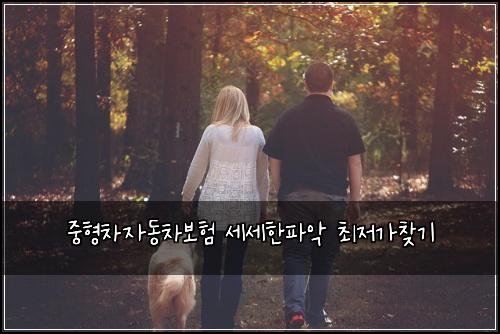 중형차자동차보험 세세한파악  최저가찾기
