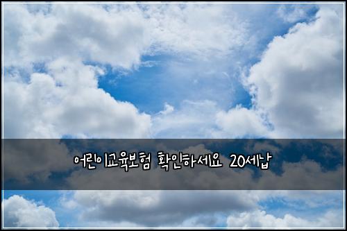 어린이교육보험 확인하세요  20세납