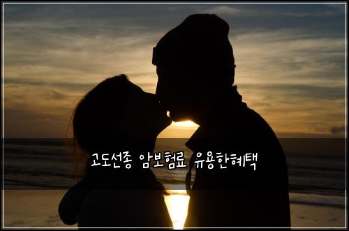 ๊ณ ๋์ ์ข
์๋ณดํ๋ฃ ์ ์ฉํํํ
