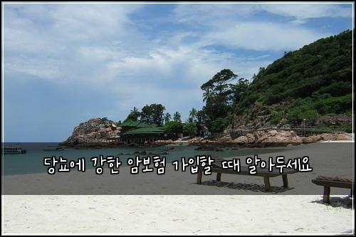 당뇨에 강한 암보험 가입할 때 알아두세요