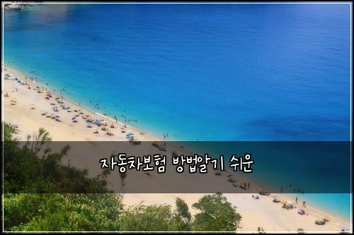 자동차보험 방법알기  쉬운
