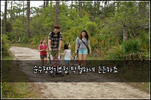 순수형정기보험 탁월하네  든든하죠