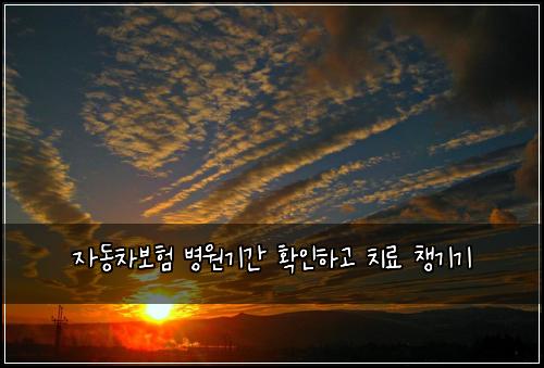 자동차보험 병원기간 확인하고 치료 챙기기