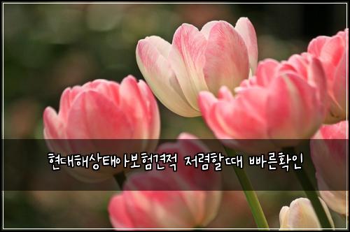 현대해상태아보험견적 저렴할때 빠른확인