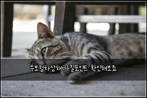 무보험차상해따질포인트 확인해보죠