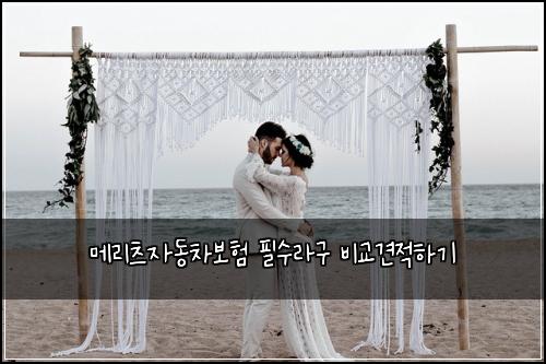 메리츠자동차보험 필수라구  비교견적하기